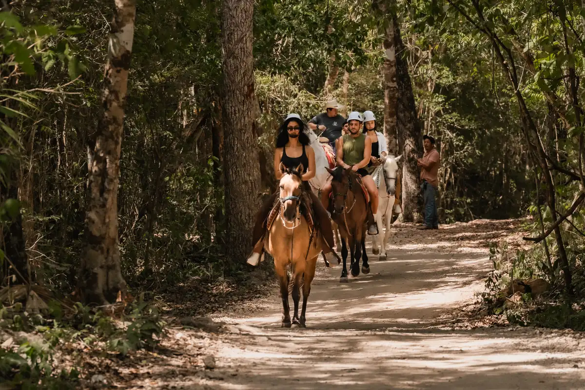 Group of riders on horses following a jungle trail